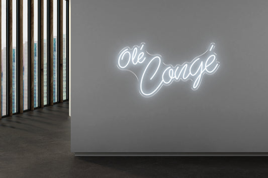 PowerLED Neon Sign (Indoor) -  Ole Conge