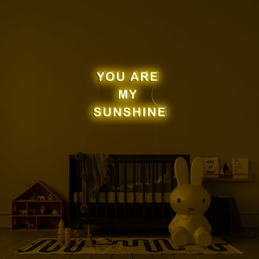 You are my sunshine' LED Neon Verlichting